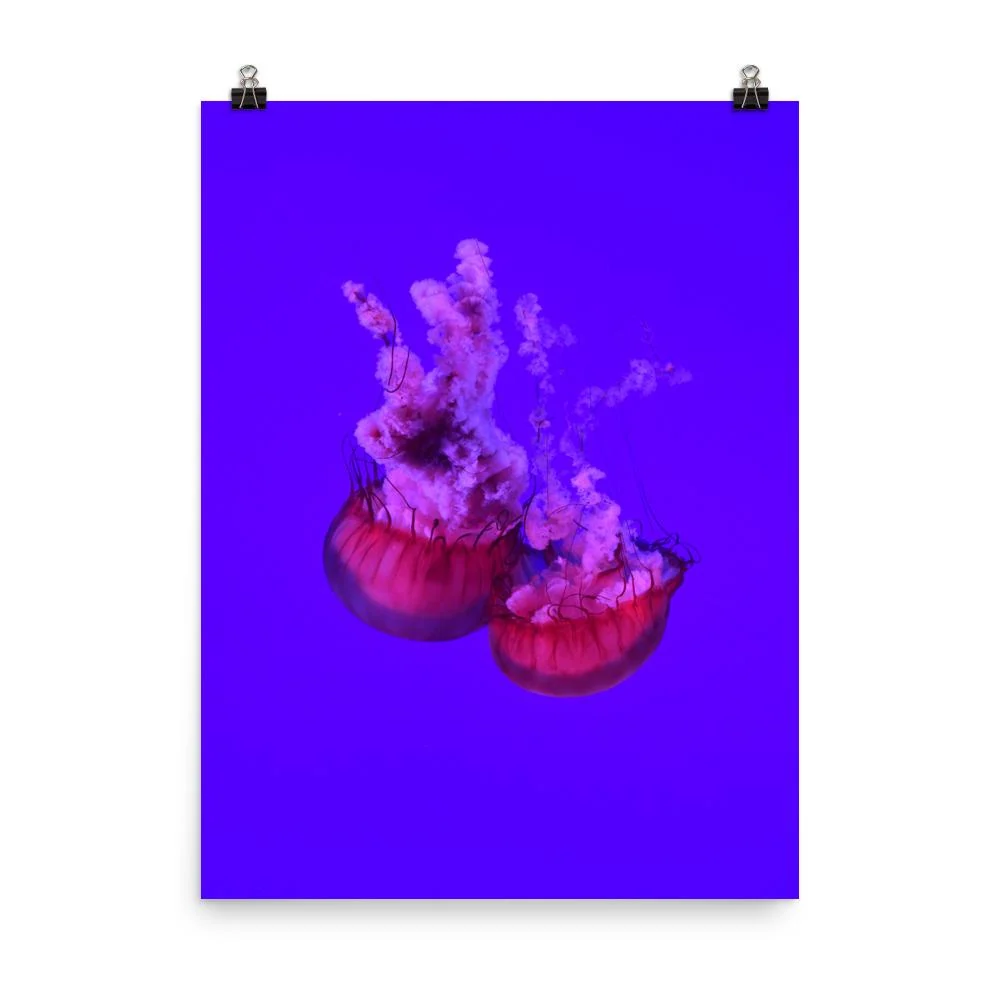 Medusa rosa - cartel Kuratoren von artlia