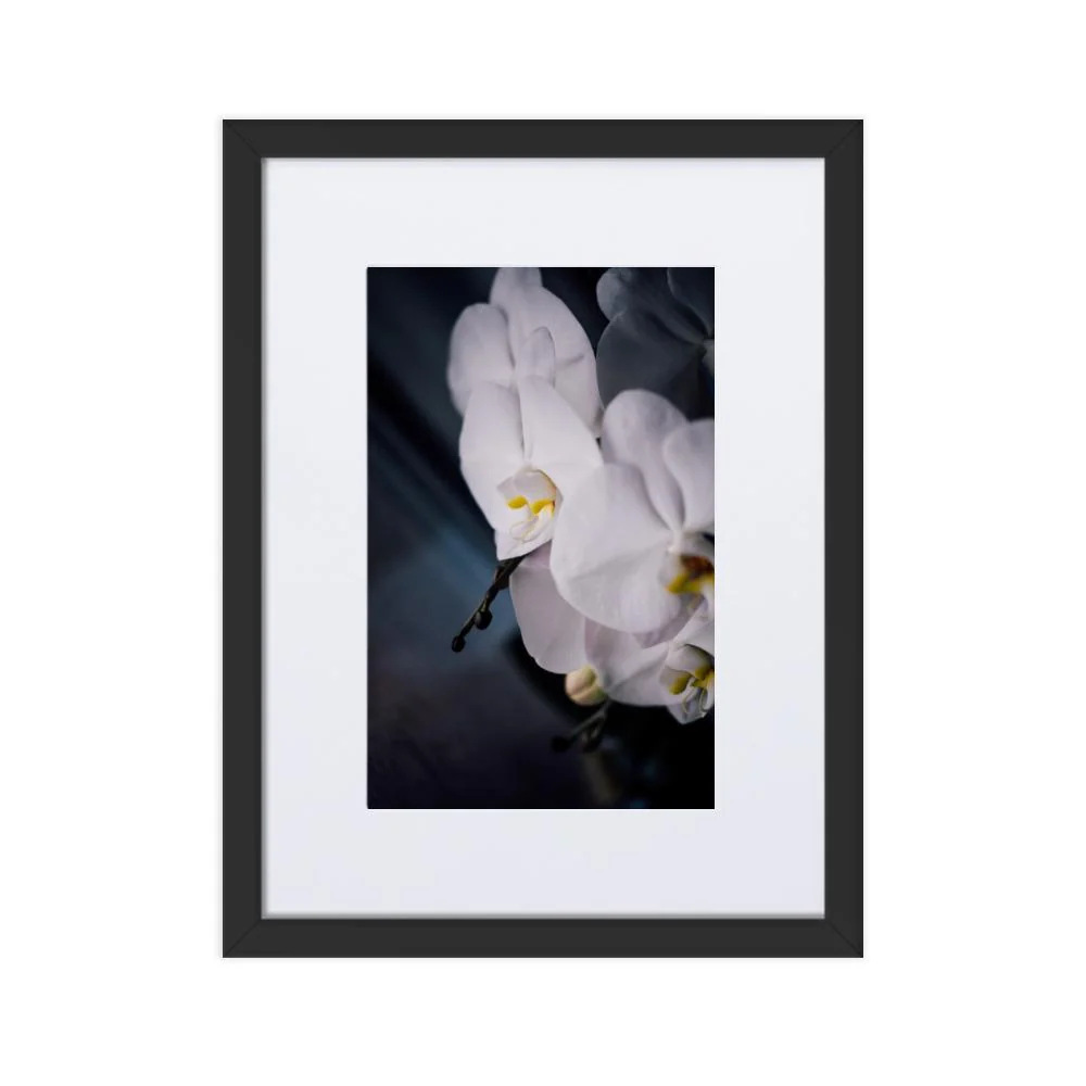 Orquídea 02 - Póster enmarcado con paspartú Negro Kuratoren von artlia