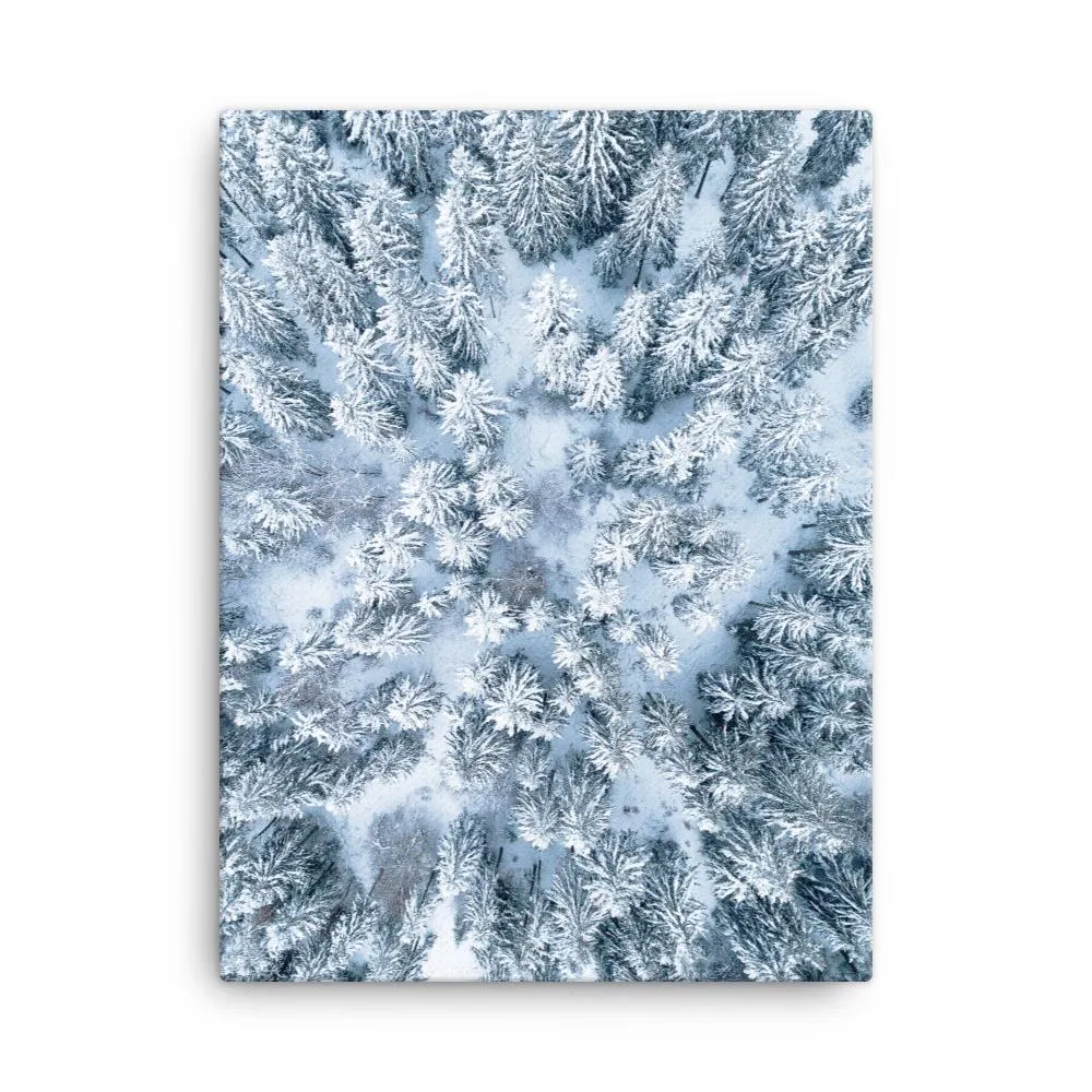 Paisaje nevado 7 - Leinwand Kuratoren von artlia