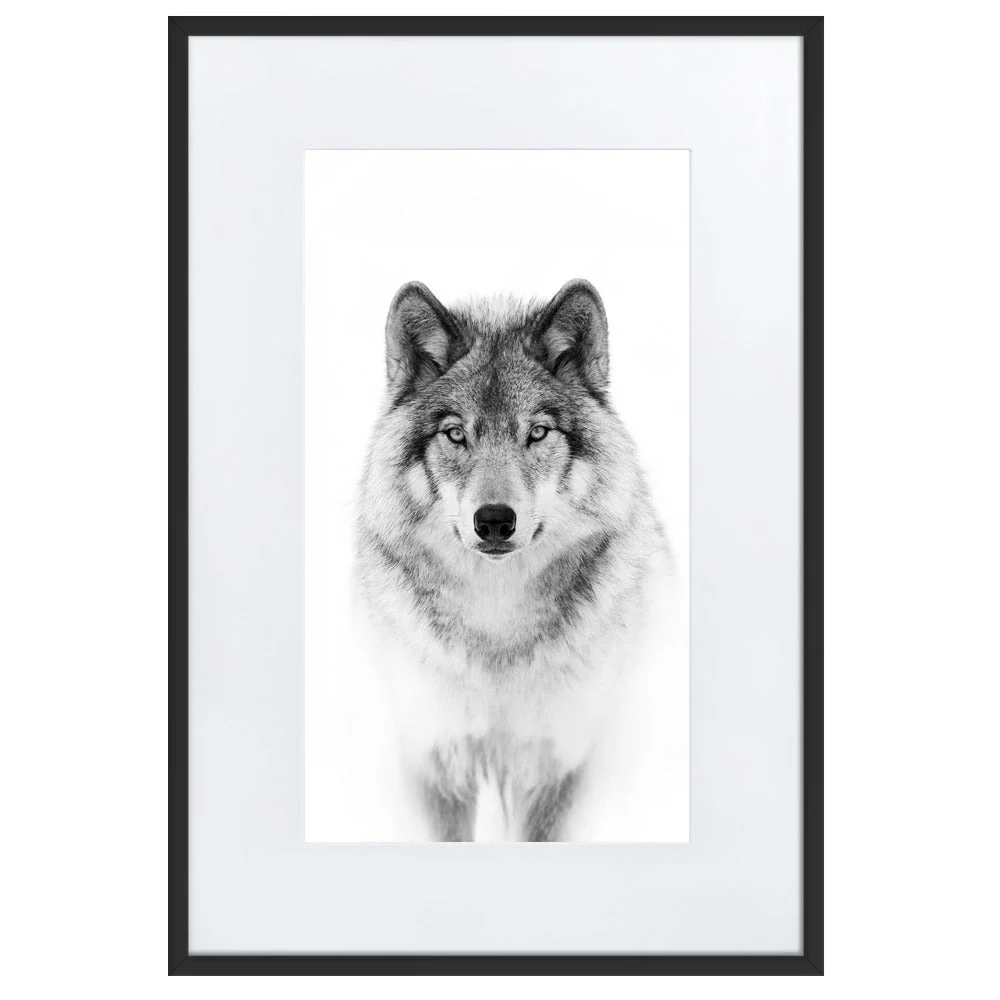 Póster con paspartú - Lobo tranquilo Negro Kuratoren von artlia
