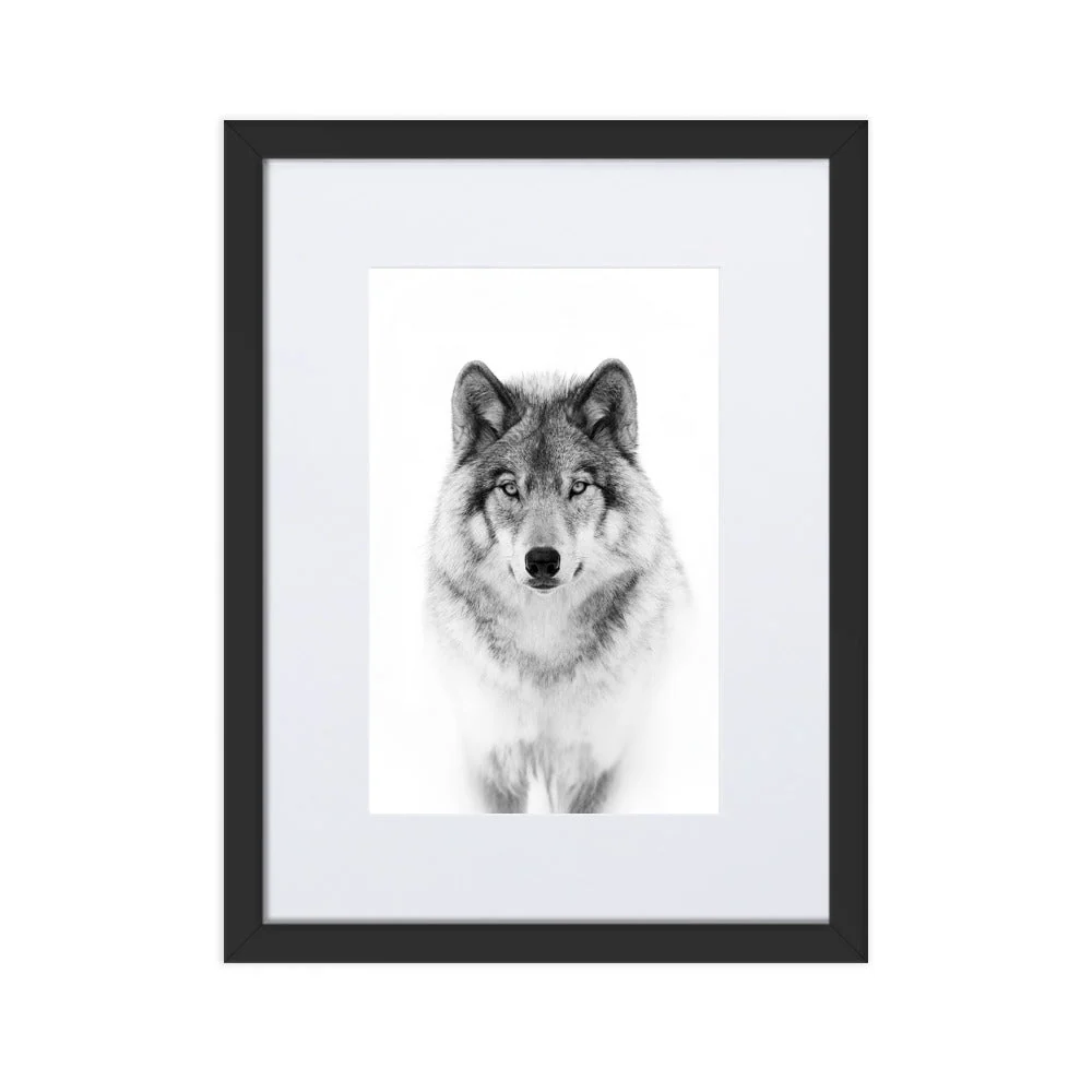 Póster con paspartú - Lobo tranquilo Negro Kuratoren von artlia