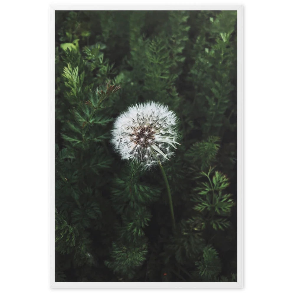 Póster - Diente de león Kuratoren von artlia