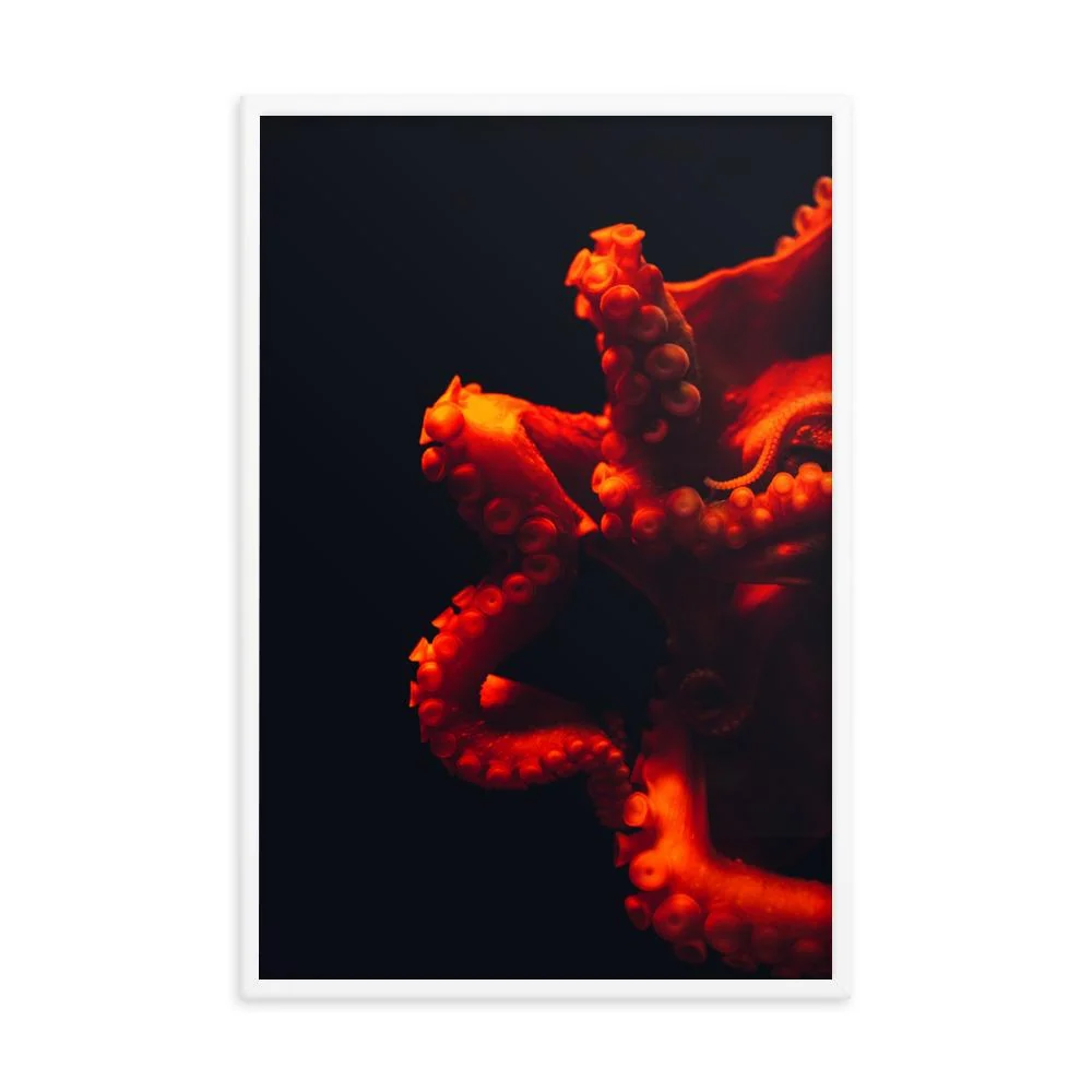 Póster - Pulpo enojado Kuratoren von artlia