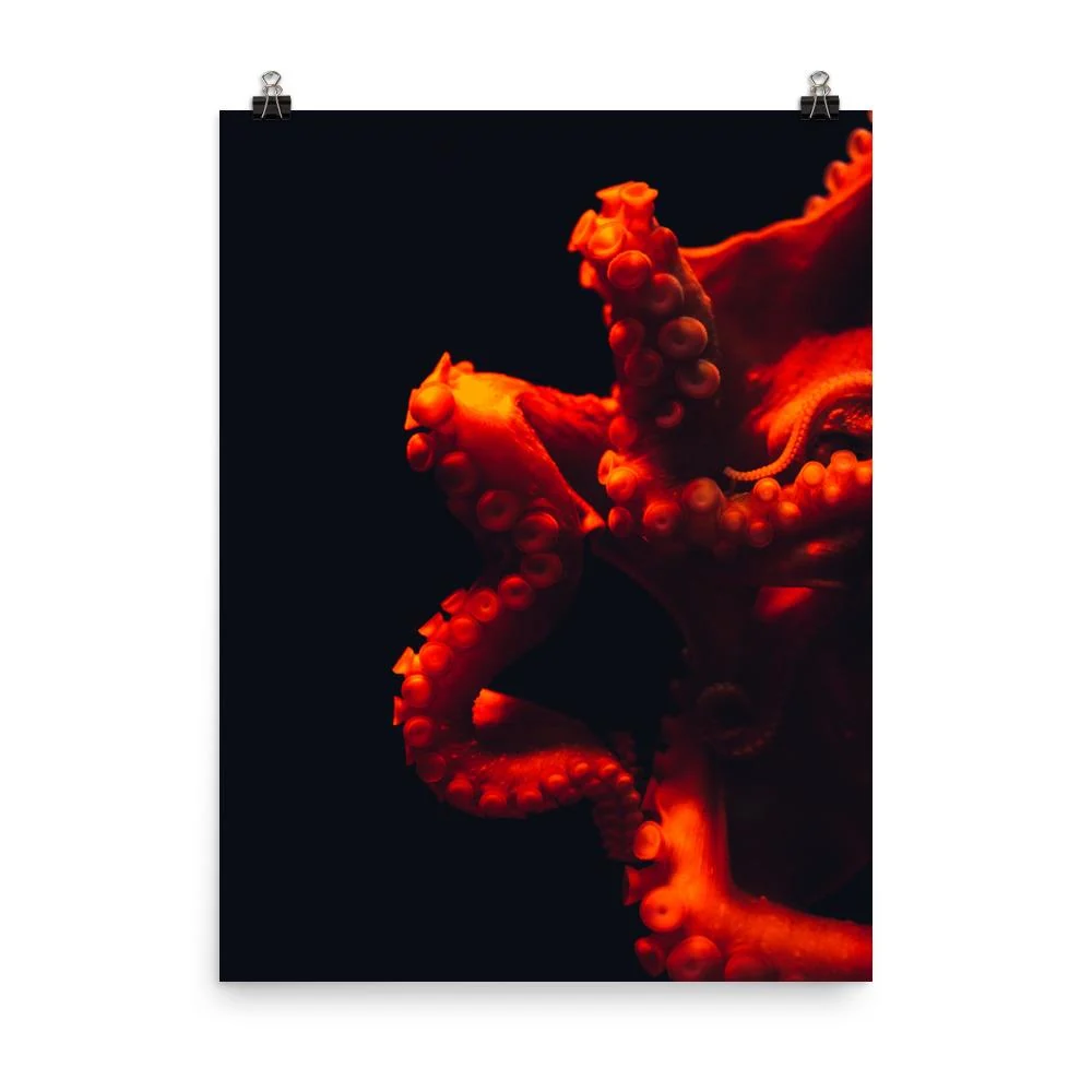 Póster - Pulpo enojado Kuratoren von artlia