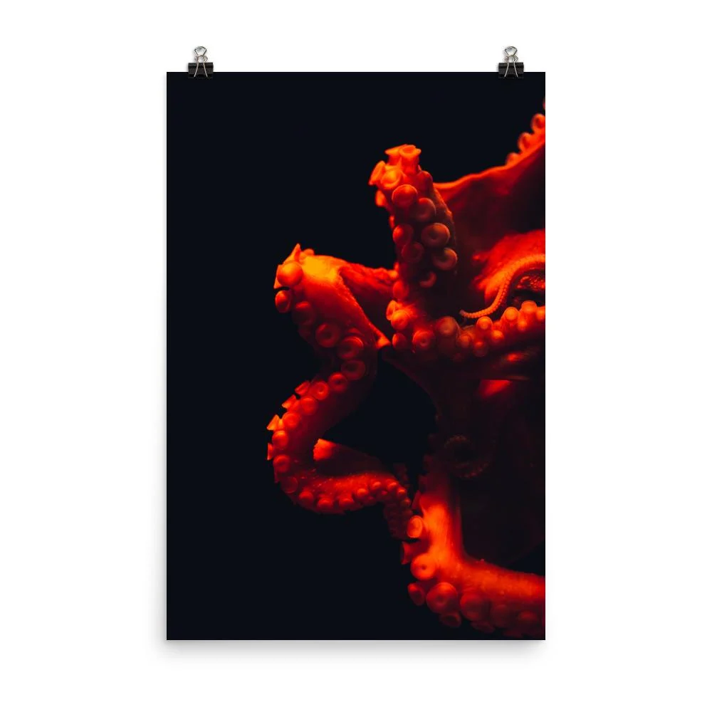 Póster - Pulpo enojado Kuratoren von artlia