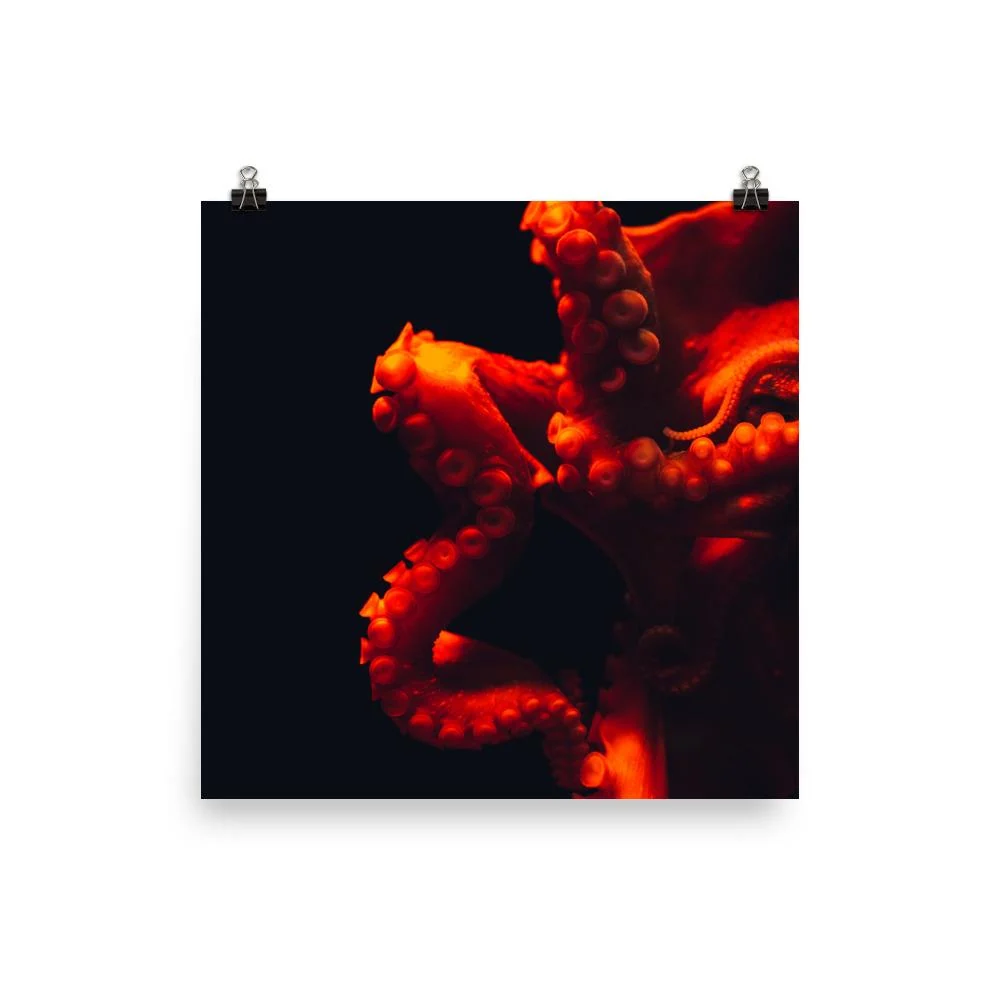 Póster - Pulpo enojado Kuratoren von artlia