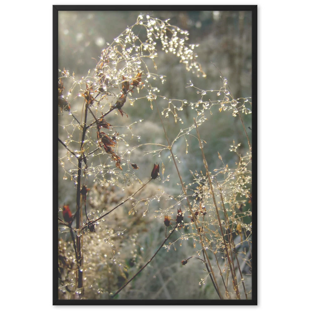 Winter Dews - Póster en marco Negro Kuratoren von artlia