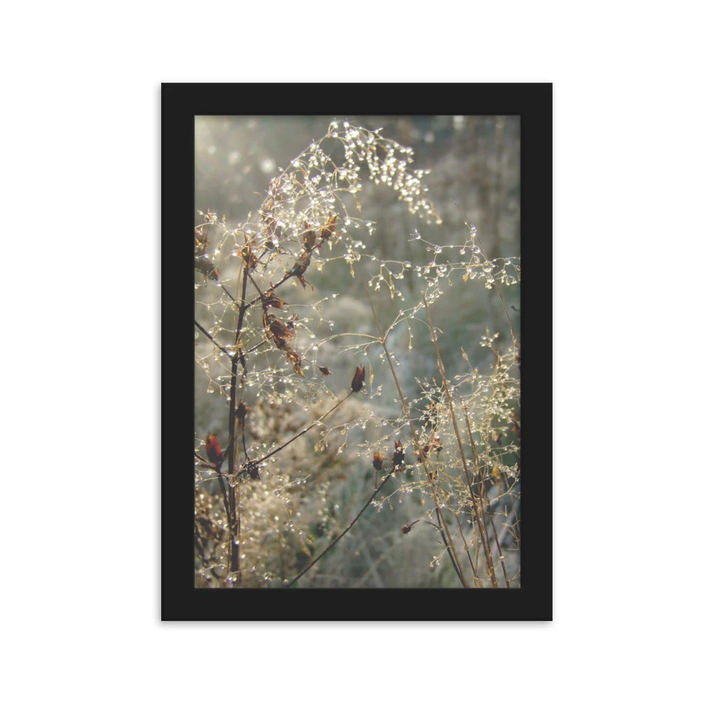 Winter Dews - Póster en marco Negro Kuratoren von artlia