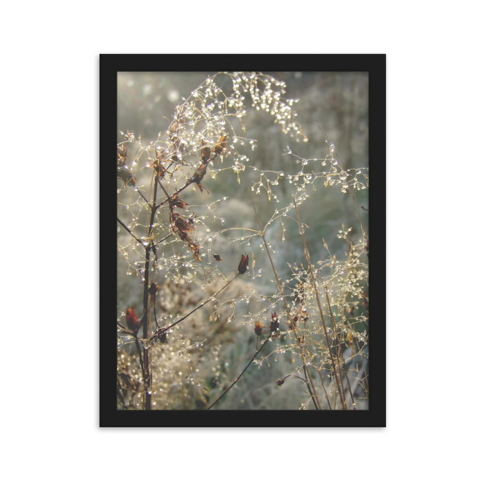 Winter Dews - Póster en marco Negro Kuratoren von artlia