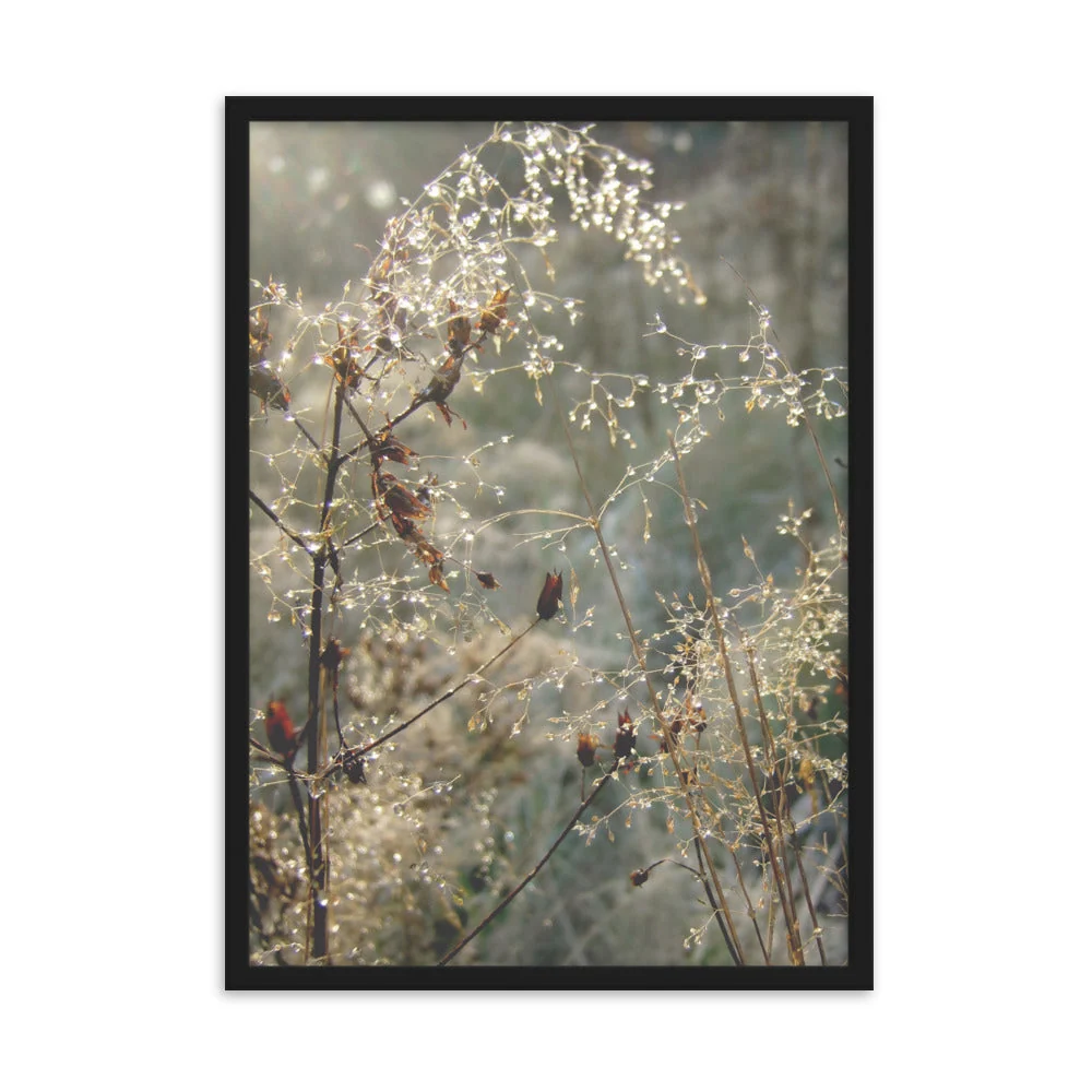 Winter Dews - Póster en marco Negro Kuratoren von artlia