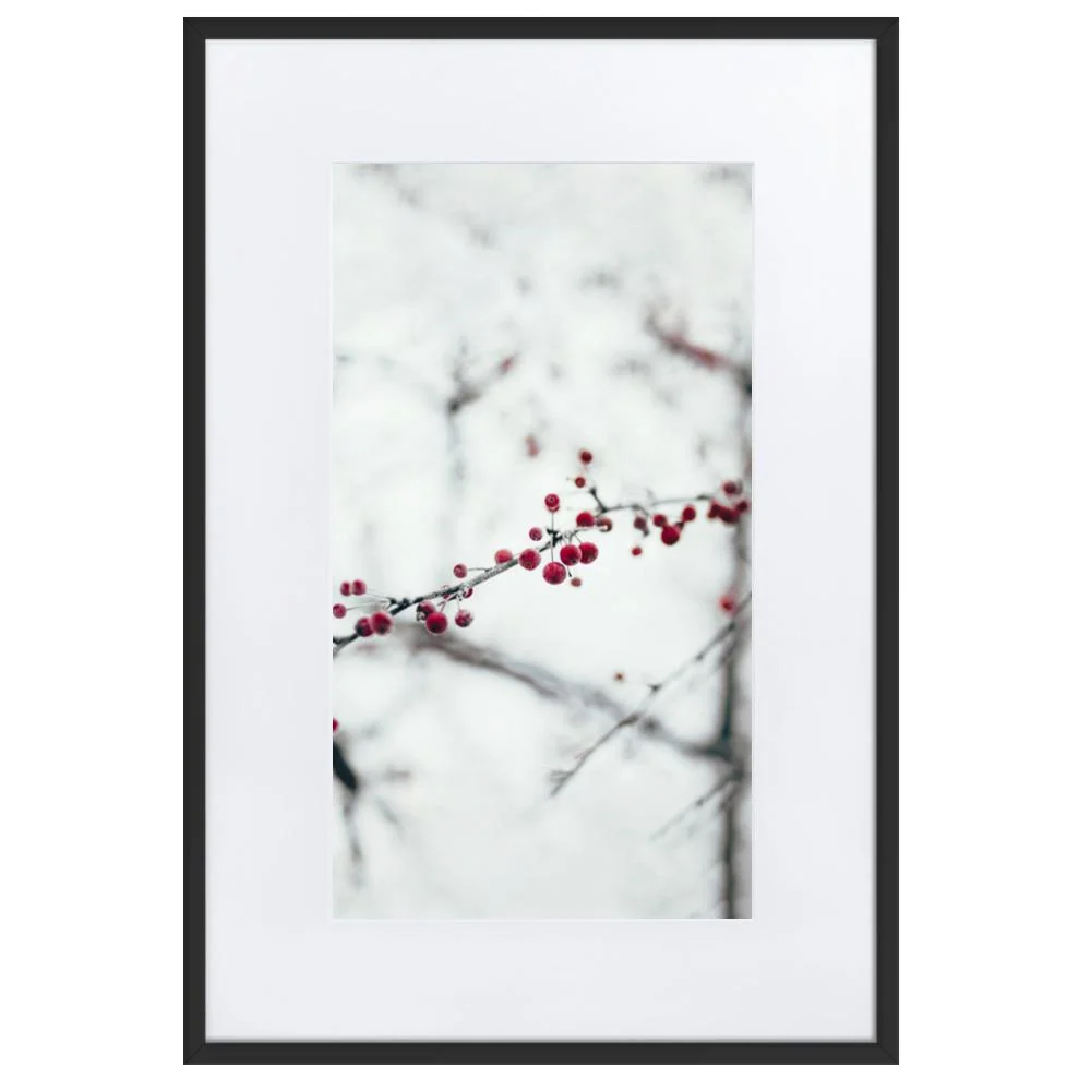 Winterberries - cartel en un marco con passepartout Negro Kuratoren von artlia