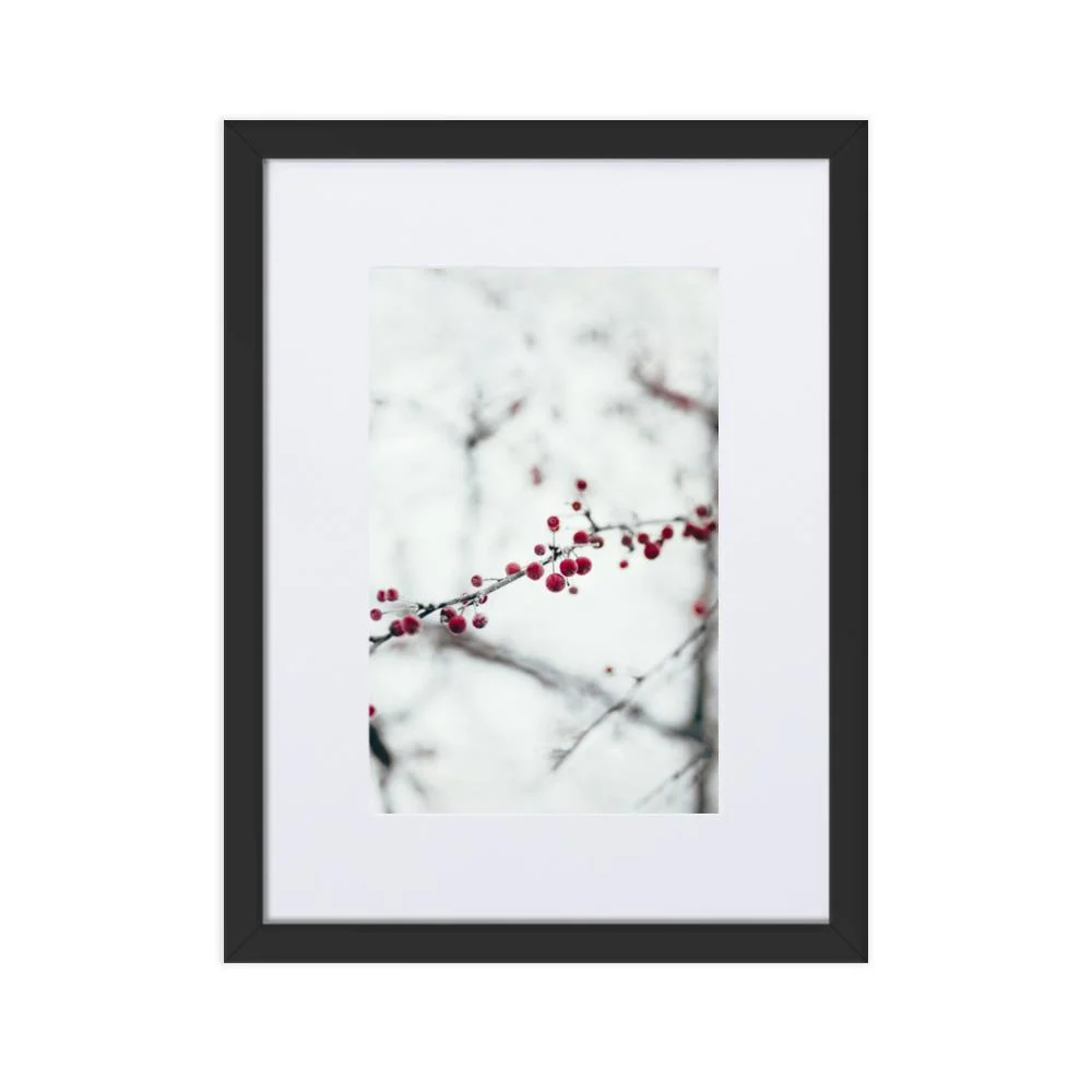 Winterberries - cartel en un marco con passepartout Negro Kuratoren von artlia