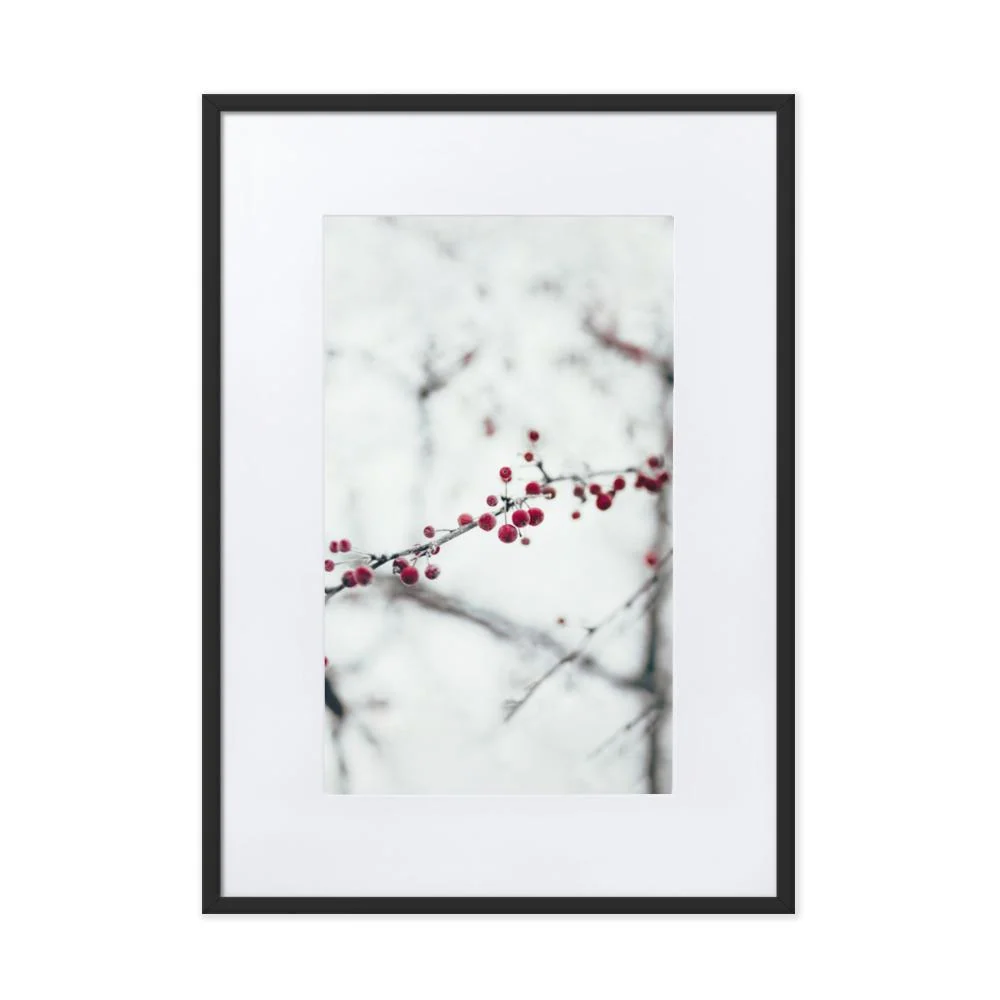 Winterberries - cartel en un marco con passepartout Negro Kuratoren von artlia