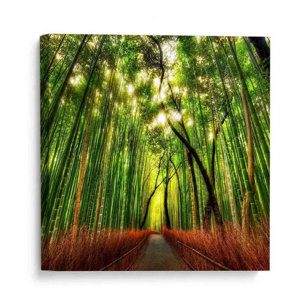 Cuadro canvas multicolor Multicolor LA GALERIA