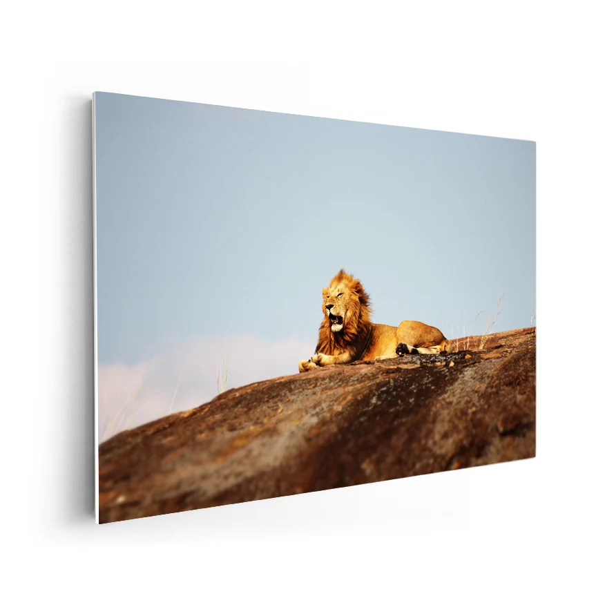 León en la Roca Poster