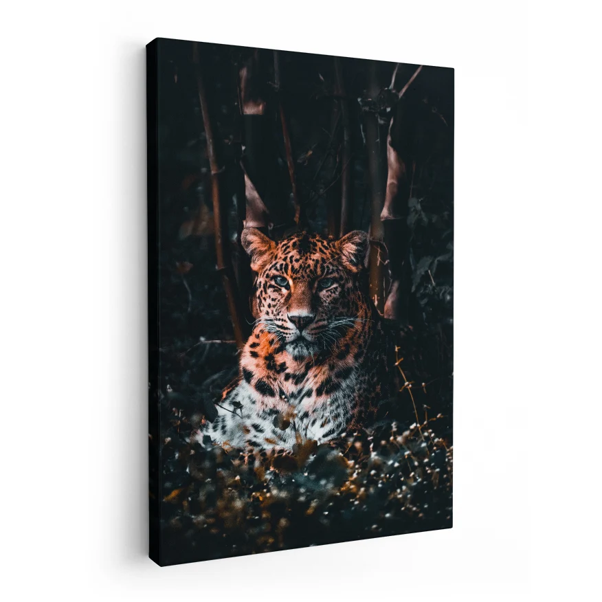 Leopardo Poster