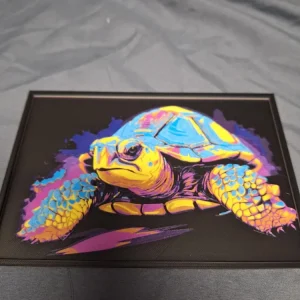 Lámina tortuga multicolor