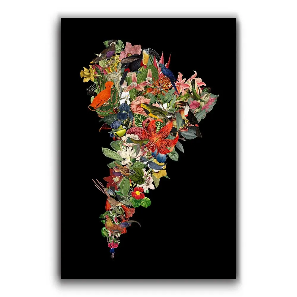 Flor de Sudamérica Negro - Lámina MAPPIN