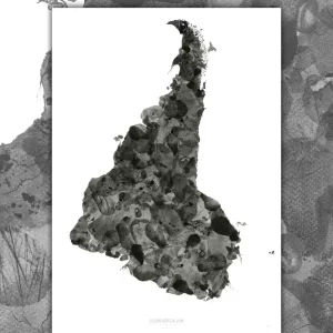 Sudamérica Viva - Lámina MAPPIN