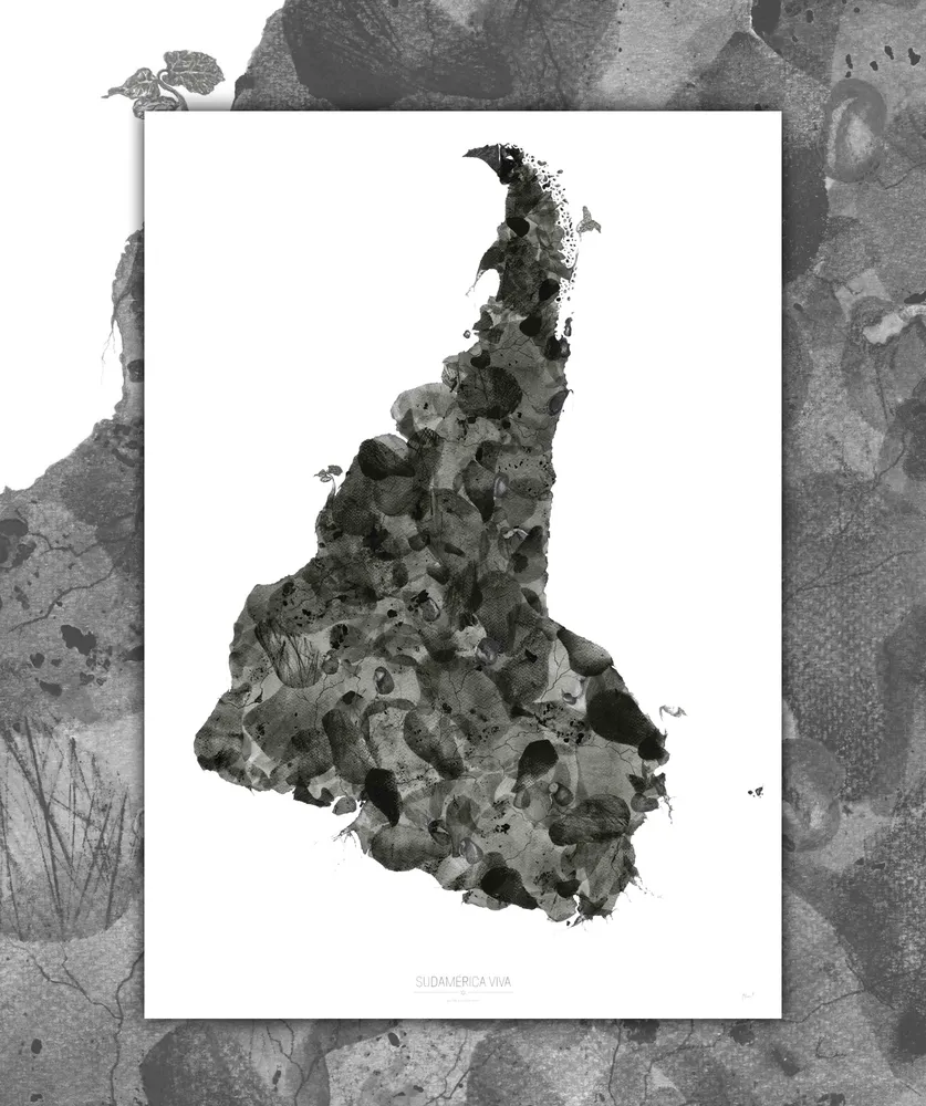 Sudamérica Viva - Lámina MAPPIN