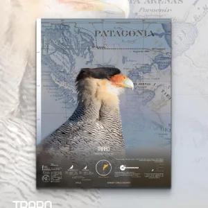Traro Arte Escala - Lámina MAPPIN