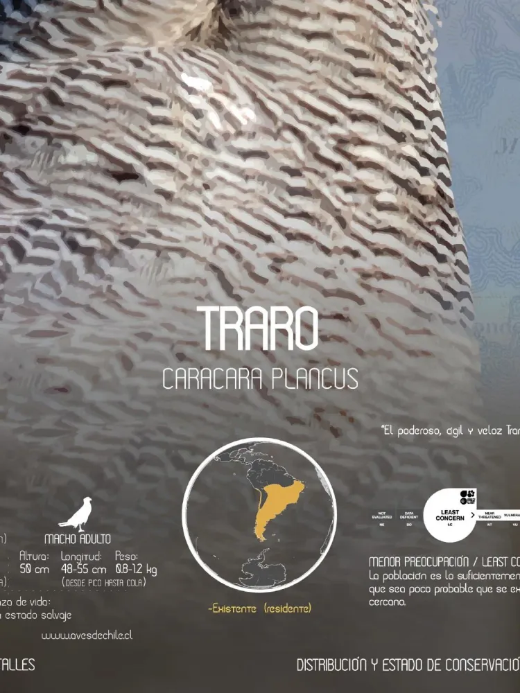 Traro Arte Escala - Lámina MAPPIN