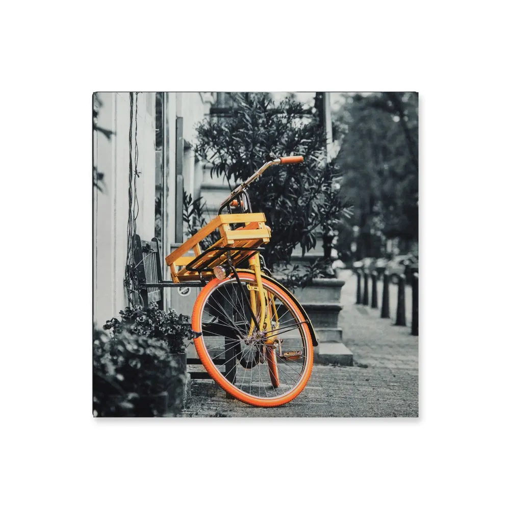 Cuadro Decorativo Bicicleta S 30X30 cm - Impresion en Tela Marketplace - HV