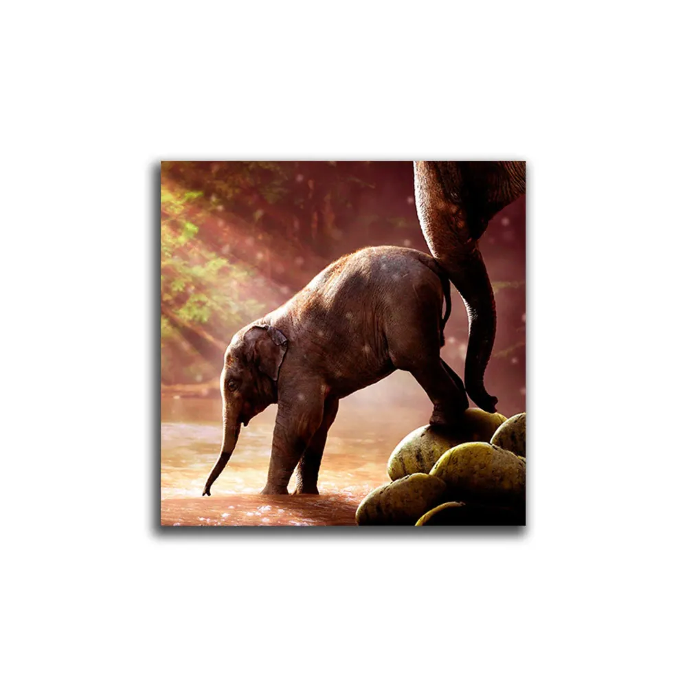 Cuadro Decorativo Elefante Bebe L 60X60 cm - Impresion en Tela Marketplace - HV