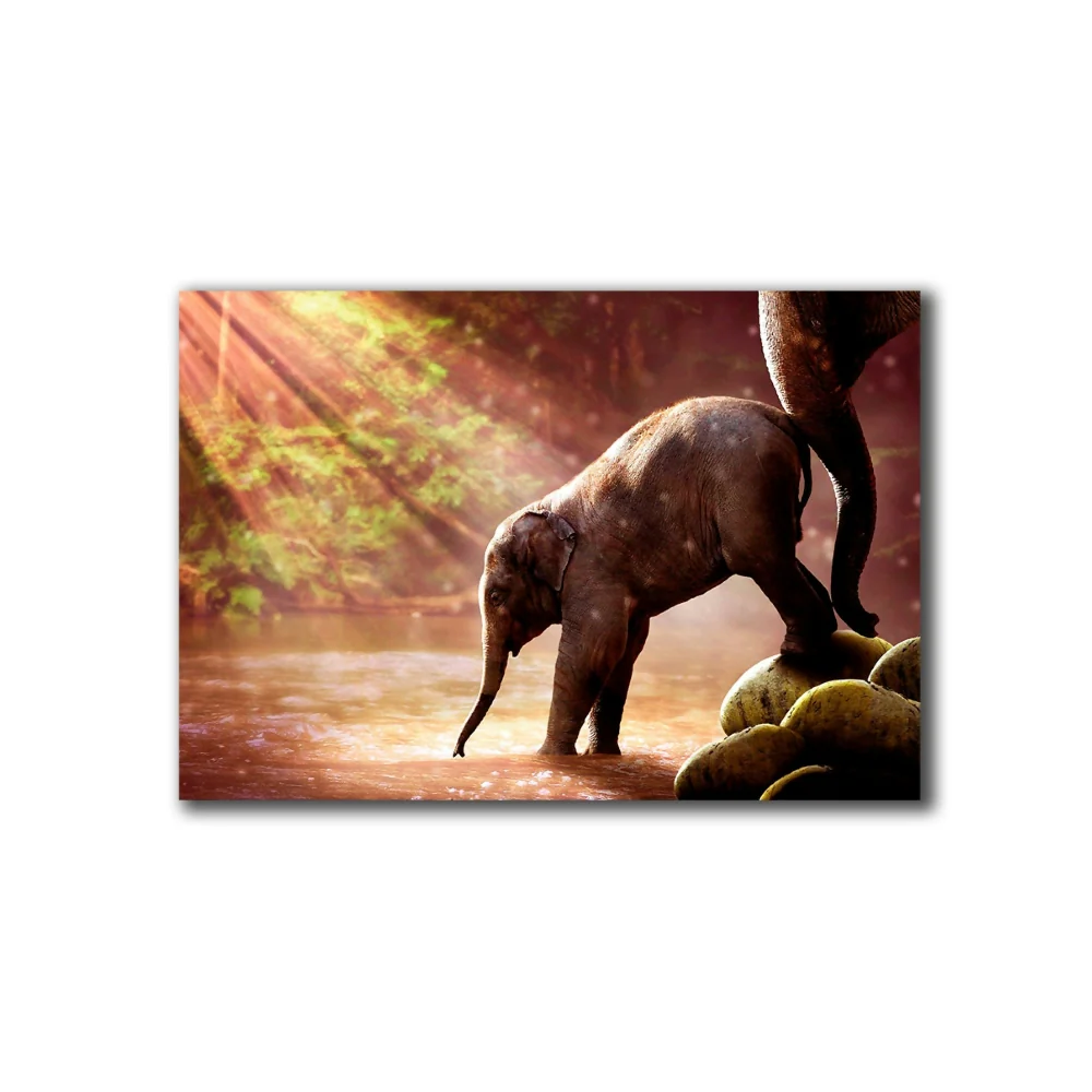 Cuadro Decorativo Elefante Bebe M 70x45 cm - Impresion en Tela Marketplace - HV