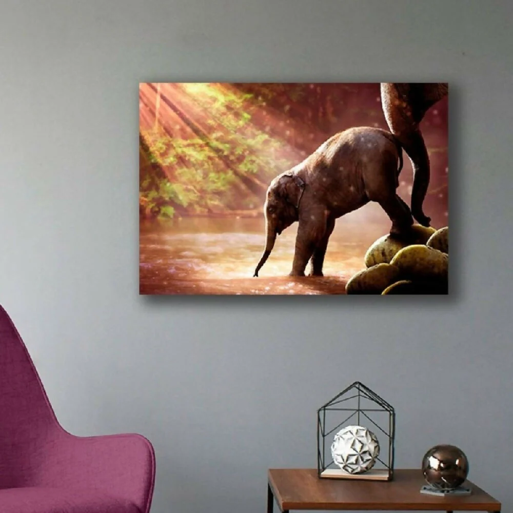 Cuadro Decorativo Elefante Bebe M 70x45 cm - Impresion en Tela Marketplace - HV