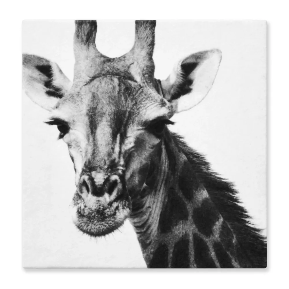 Cuadro Decorativo Jirafa Fondo Blanco L 60X60 cm - Impresion en Tela Marketplace - HV