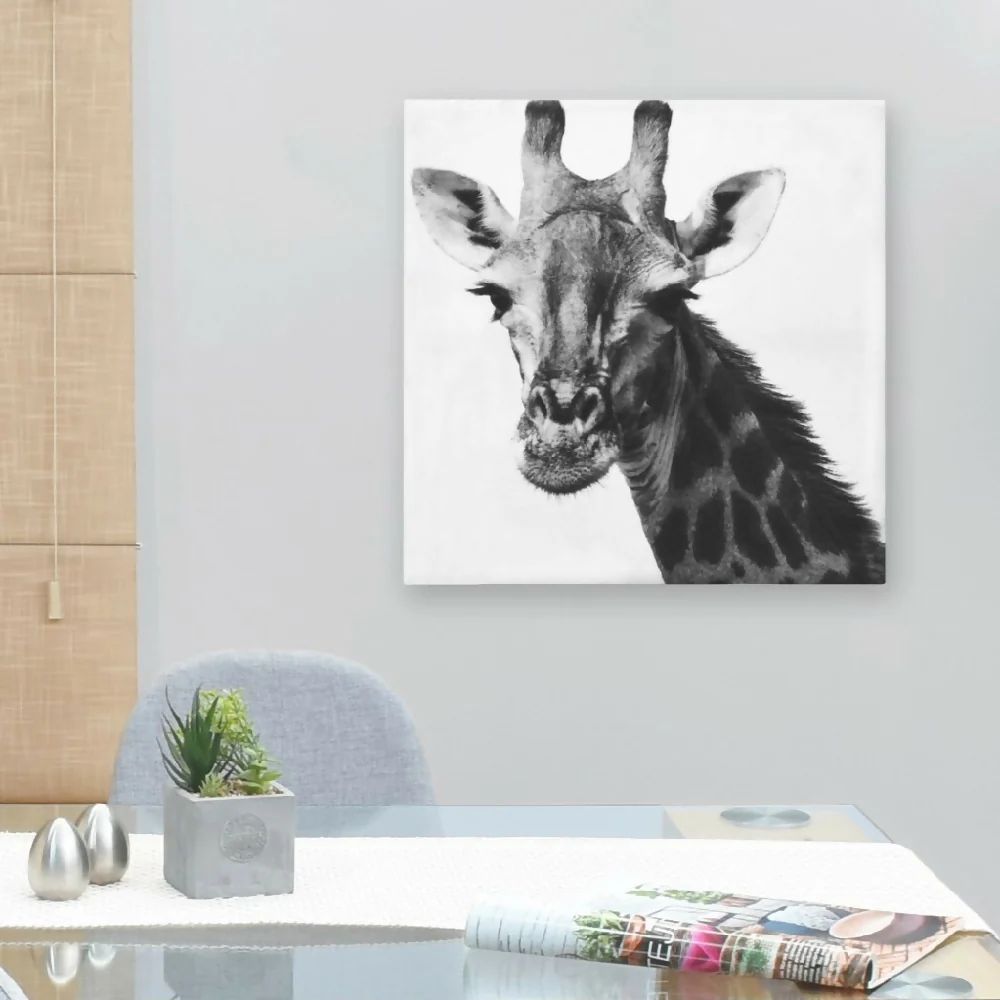 Cuadro Decorativo Jirafa Fondo Blanco L 60X60 cm - Impresion en Tela Marketplace - HV