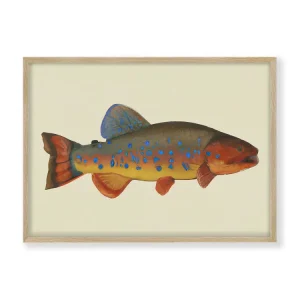 Radiant Reef Merel Takken