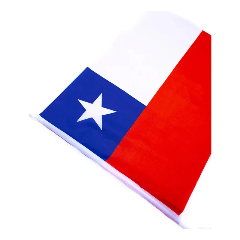 Pack 10 Banderas Chile Auto Fiestas Patrias Banderin 20x30cm Bandera Chile miguelarcangelstore