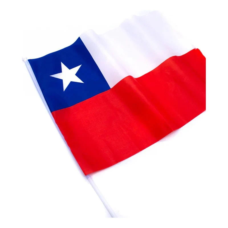 Pack 10 Banderas Chile Auto Fiestas Patrias Banderin 20x30cm Bandera Chile miguelarcangelstore