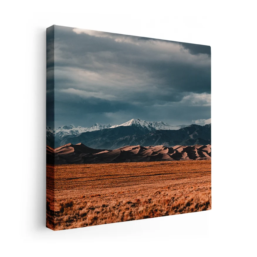 Montañ Nevada Poster