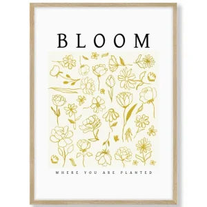 Bloom Where You Are Planted MRH Studio