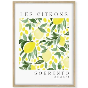 Les Citrons Sorrento Amalfi MRH Studio