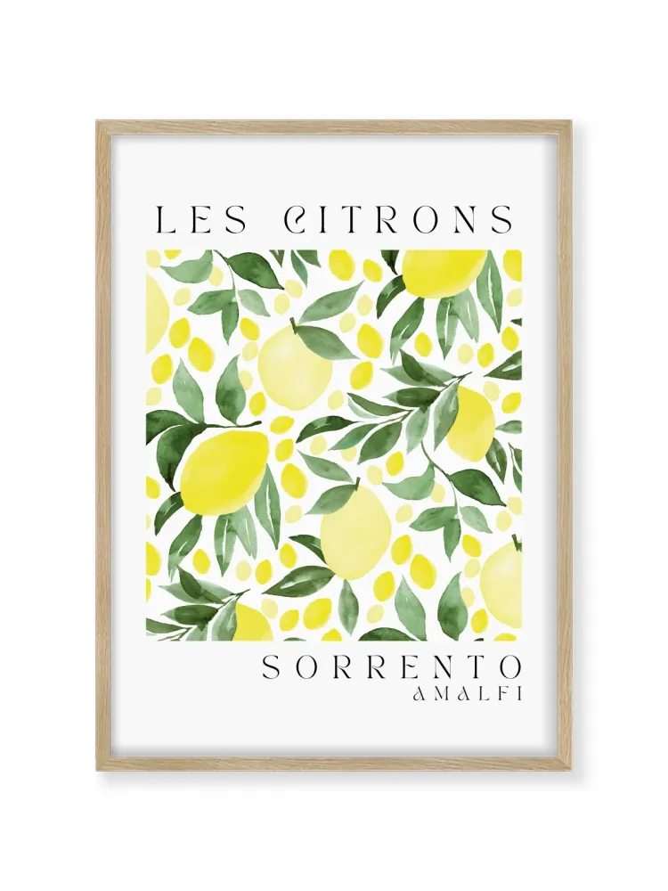 Les Citrons Sorrento Amalfi MRH Studio