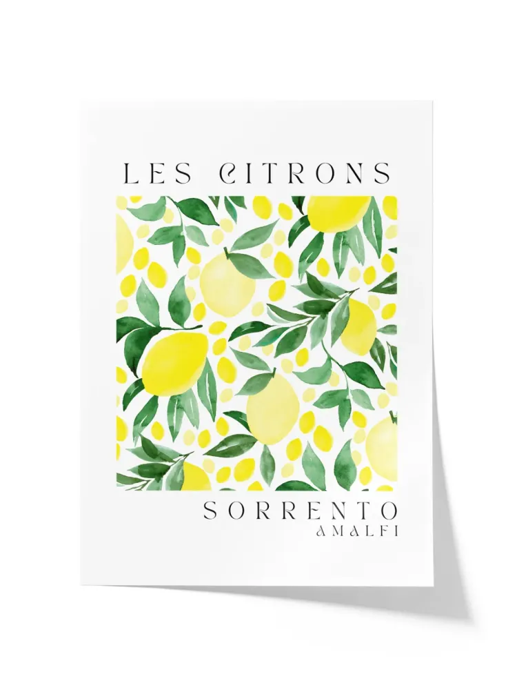 Les Citrons Sorrento Amalfi MRH Studio