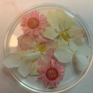 CAJA DE CIRCULO DE NATURALEZA MUERTA NÄGEL