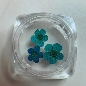 FLOR DE CIRUELO AZUL NÄGEL