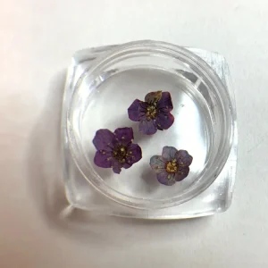 FLOR DE CIRUELO MORADA NÄGEL