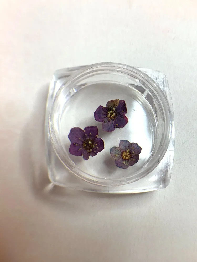 FLOR DE CIRUELO MORADA NÄGEL