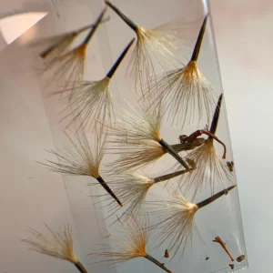 NATURALEZA MUERTA FLOR AGOLDONSILLO NARANJA NÄGEL