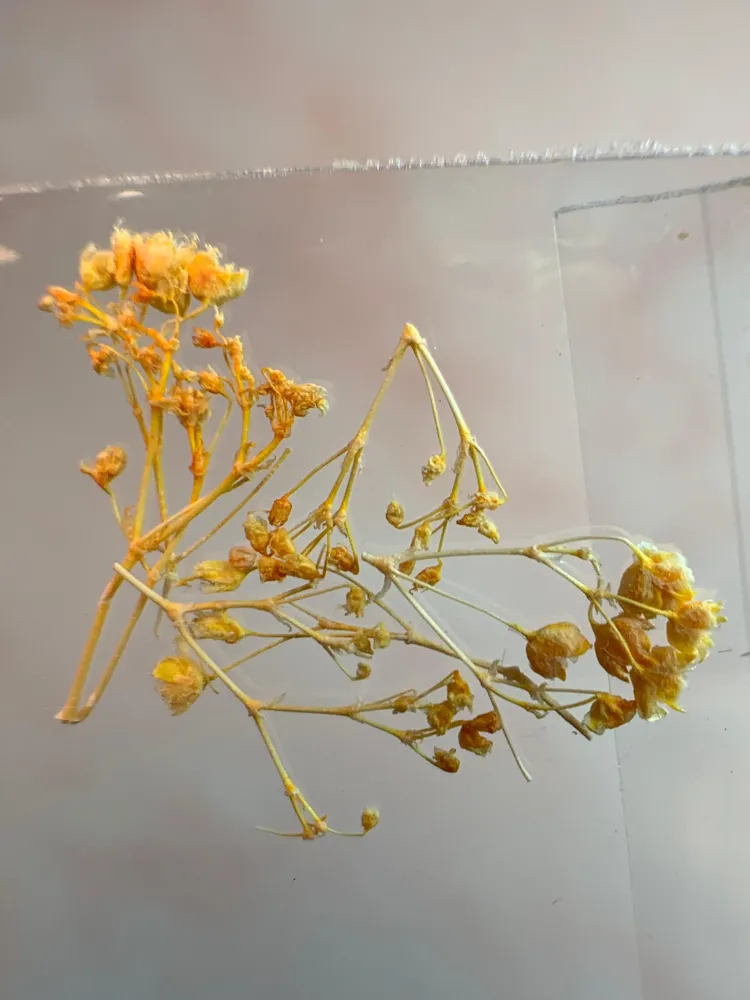 NATURALEZA MUERTA FLOR AMARILLA MINI NÄGEL
