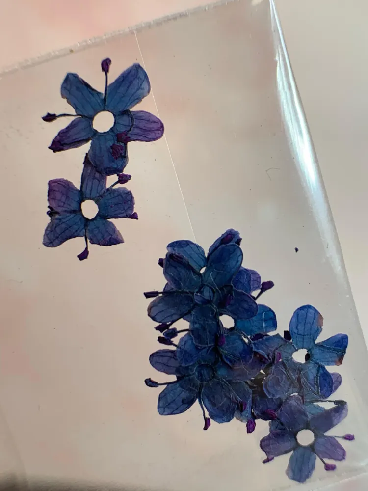 NATURALEZA MUERTA FLOR DE CIRUELO AZUL NÄGEL