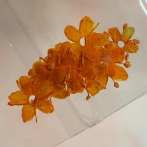 NATURALEZA MUERTA FLOR DE CIRUELO NARANJA NÄGEL