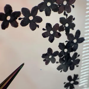 NATURALEZA MUERTA FLOR NEGRA NÄGEL