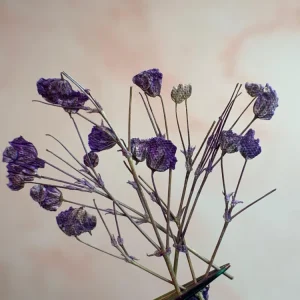 NATURALEZA MUERTA FLOR VIOLETA NÄGEL